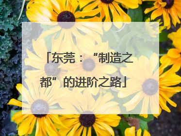 东莞：“制造之都”的进阶之路