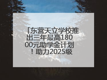 东营天立学校推出三年最高18000元助学金计划！助力2025级新生扬帆起航