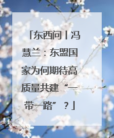 东西问丨冯慧兰：东盟国家为何期待高质量共建“一带一路”？