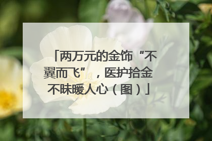 两万元的金饰“不翼而飞”，医护拾金不昧暖人心（图）