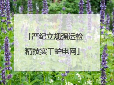 严纪立规强运检 精技实干护电网