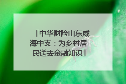 中华财险山东威海中支：为乡村居民送去金融知识