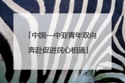 中国—中亚青年双向奔赴促进民心相通