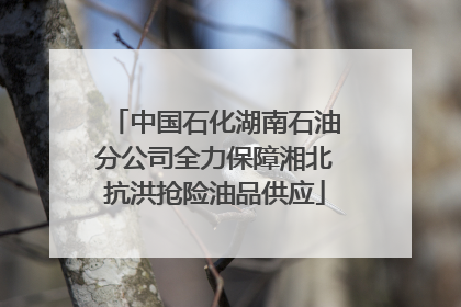 中国石化湖南石油分公司全力保障湘北抗洪抢险油品供应