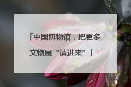 中国博物馆，把更多文物展“请进来”