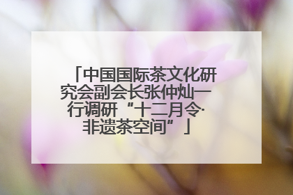 中国国际茶文化研究会副会长张仲灿一行调研“十二月令·非遗茶空间”