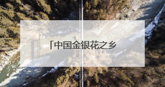 中国金银花之乡：金银花铺就金色振兴路(图)