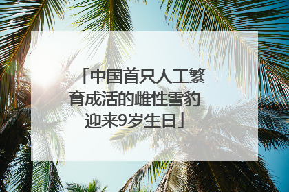 中国首只人工繁育成活的雌性雪豹迎来9岁生日