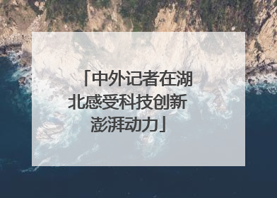 中外记者在湖北感受科技创新澎湃动力