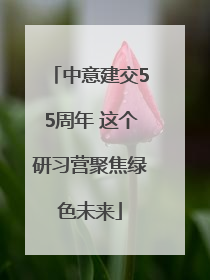 中意建交55周年 这个研习营聚焦绿色未来