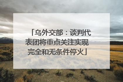 乌外交部：谈判代表团将重点关注实现完全和无条件停火