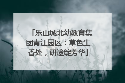 乐山城北幼教育集团青江园区：草色生香处，研途绽芳华