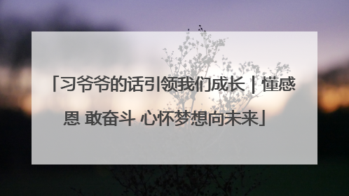 习爷爷的话引领我们成长｜懂感恩 敢奋斗 心怀梦想向未来