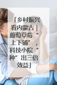 乡村振兴看内蒙古｜葡萄草莓“上下铺”，科技小院“种”出三倍效益