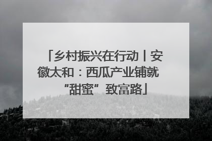 乡村振兴在行动丨安徽太和：西瓜产业铺就“甜蜜”致富路