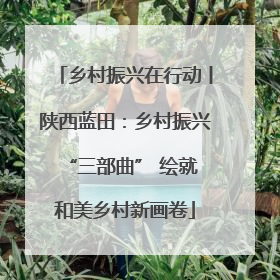 乡村振兴在行动丨陕西蓝田：乡村振兴 “三部曲” 绘就和美乡村新画卷
