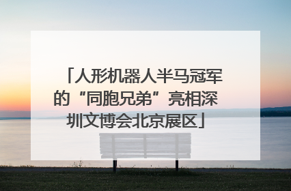 人形机器人半马冠军的“同胞兄弟”亮相深圳文博会北京展区