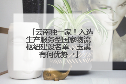 云南独一家！入选生产服务型国家物流枢纽建设名单，玉溪有何优势→