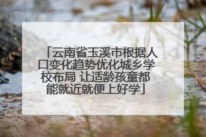 云南省玉溪市根据人口变化趋势优化城乡学校布局 让适龄孩童都能就近就便上好学