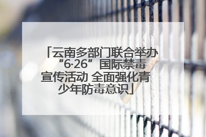 云南多部门联合举办“6·26”国际禁毒宣传活动 全面强化青少年防毒意识