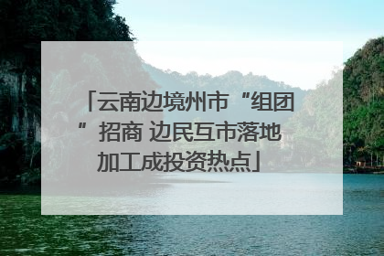 云南边境州市“组团”招商 边民互市落地加工成投资热点