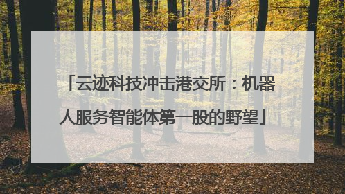 云迹科技冲击港交所：机器人服务智能体第一股的野望