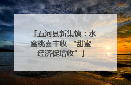 五河县新集镇：水蜜桃喜丰收 “甜蜜经济促增收”