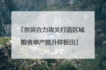 京冀合力攻关打造区域粮食单产提升样板田