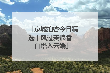 京城拍客今日精选｜风过麦浪香 白塔入云端