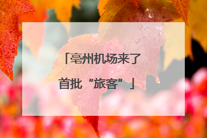 亳州机场来了首批“旅客”