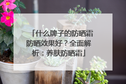 什么牌子的防晒霜防晒效果好？全面解析：养肤防晒霜