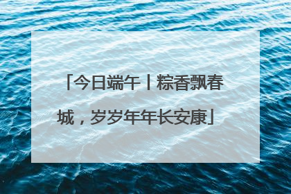 今日端午丨粽香飘春城，岁岁年年长安康