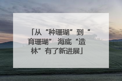 从“种珊瑚”到“育珊瑚” 海底“造林”有了新进展