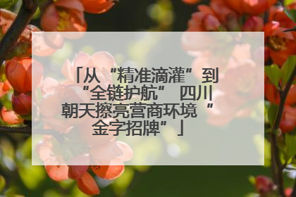 从“精准滴灌”到“全链护航” 四川朝天擦亮营商环境“金字招牌”