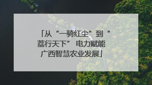 从“一骑红尘”到“荔行天下” 电力赋能广西智慧农业发展