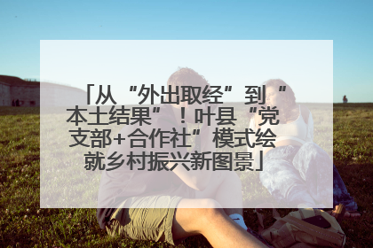 从“外出取经”到“本土结果”！叶县“党支部+合作社”模式绘就乡村振兴新图景