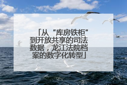 从“库房铁柜”到开放共享的司法数据，龙江法院档案的数字化转型