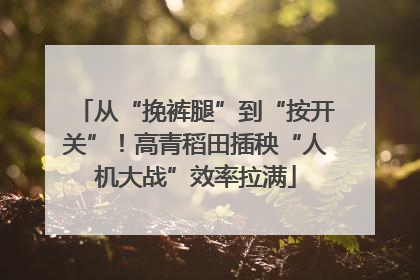 从“挽裤腿”到“按开关”！高青稻田插秧“人机大战”效率拉满