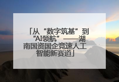 从“数字筑基”到“AI领航”——湖南国资国企竞速人工智能新赛道