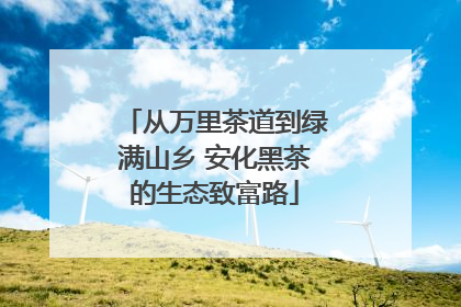 从万里茶道到绿满山乡 安化黑茶的生态致富路