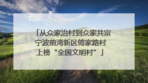 从众家治村到众家共富 宁波前湾新区傅家路村上榜“全国文明村”