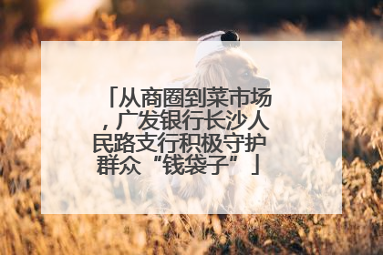 从商圈到菜市场，广发银行长沙人民路支行积极守护群众“钱袋子”