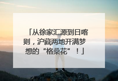 从徐家汇源到日喀则，沪藏两地开满梦想的“格桑花”！