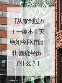从零到过万！一度本土灭绝如今种群复壮 麋鹿经历了什么？
