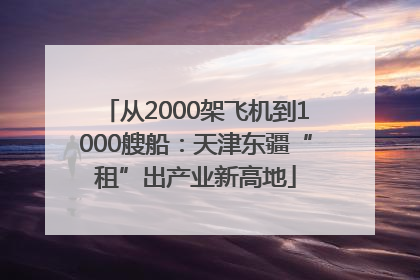 从2000架飞机到1000艘船：天津东疆“租”出产业新高地