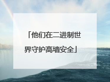 他们在二进制世界守护高墙安全