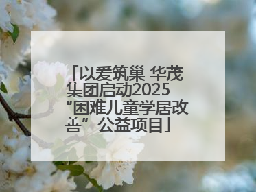 以爱筑巢 华茂集团启动2025“困难儿童学居改善”公益项目