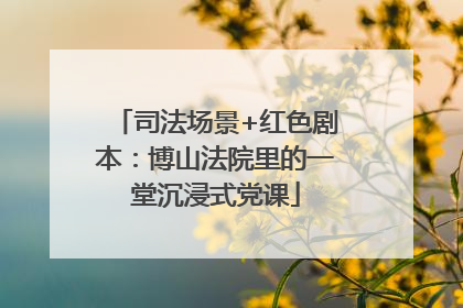 司法场景+红色剧本：博山法院里的一堂沉浸式党课
