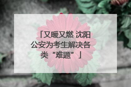 又暖又燃 沈阳公安为考生解决各类“难题”