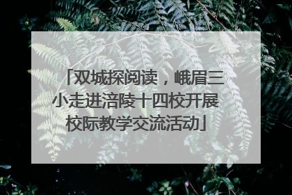 双城探阅读，峨眉三小走进涪陵十四校开展校际教学交流活动